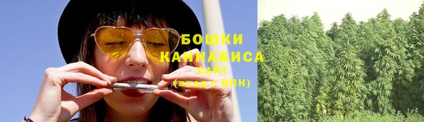 прущая мука Арсеньев