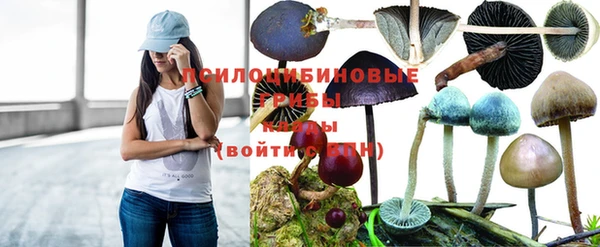 PSILOCYBIN Армянск