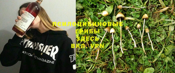 PSILOCYBIN Армянск