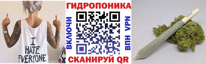 магазин продажи   Волгоград  Марихуана SATIVA & INDICA 